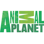 Animal Planet / телевидение онлайн